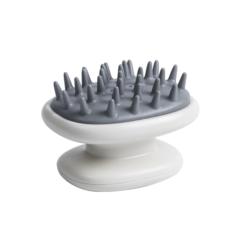 Scalp Brush